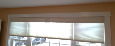 New Blinds