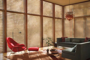 Hunter Douglas Silhouette