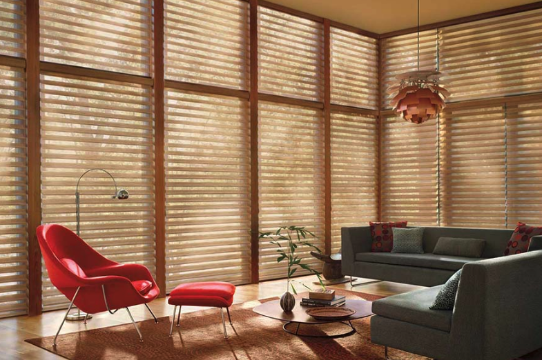 Hunter Douglas Window Treatments for All Room Types