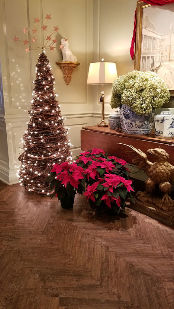 Poinsettia and lighted tree